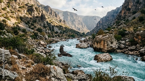 Rushing river flows through a rocky mountain canyon with birds flying overhead.