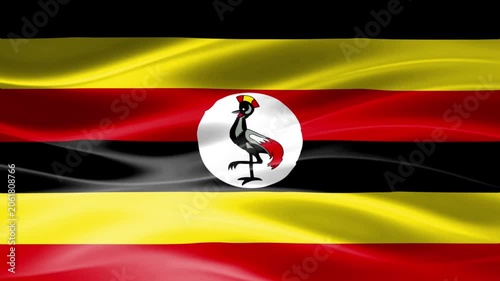 Rooster Silhouette on Vibrant African Flag Background with Wavy Texture