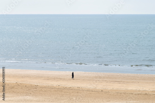Canvas-taulu One person walking on the wide beach of Blåvand, Denmark with a brightly lit cal