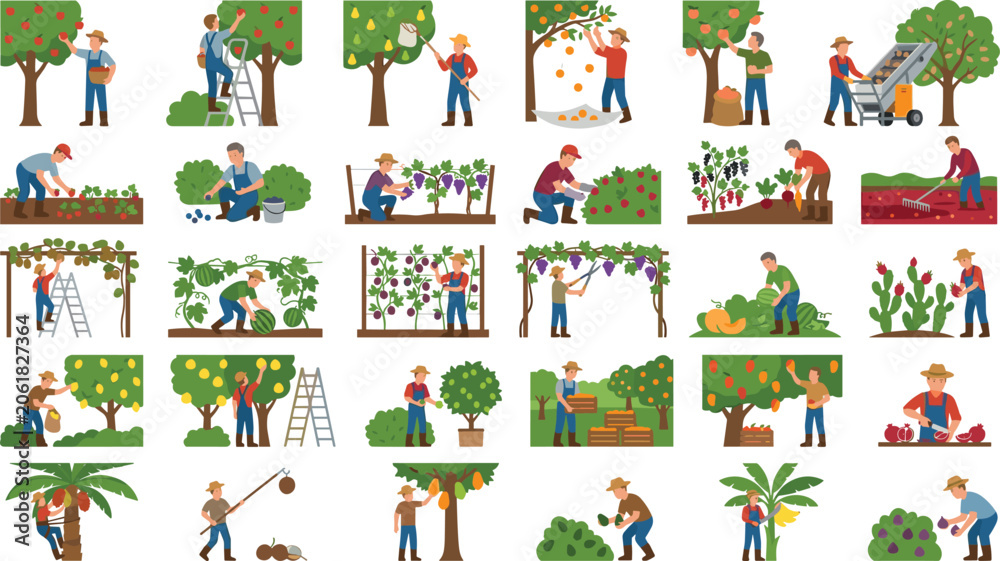 Fototapeta premium People harvesting fruits and vegetables on a farm collection of various agriculture activities
