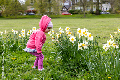 Photos Child Smelling Daffodils in Park