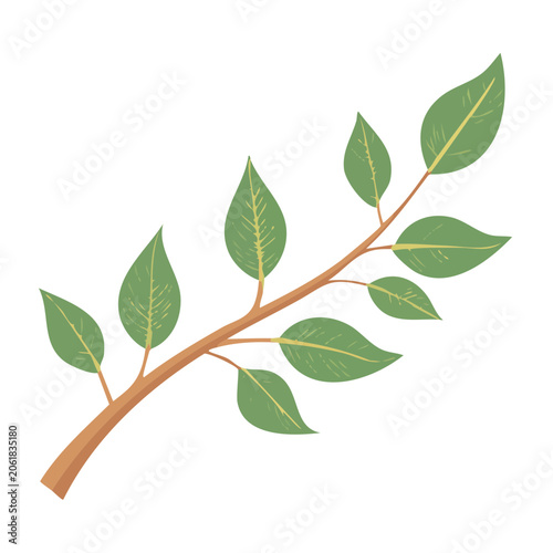 Green leafy tree branch illustration on transparent background
