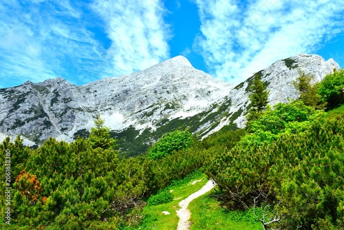 Hiking trail at mugo pine bushes at Vršič with Mojstrovka mountain peak in Julian alps, Slovenia