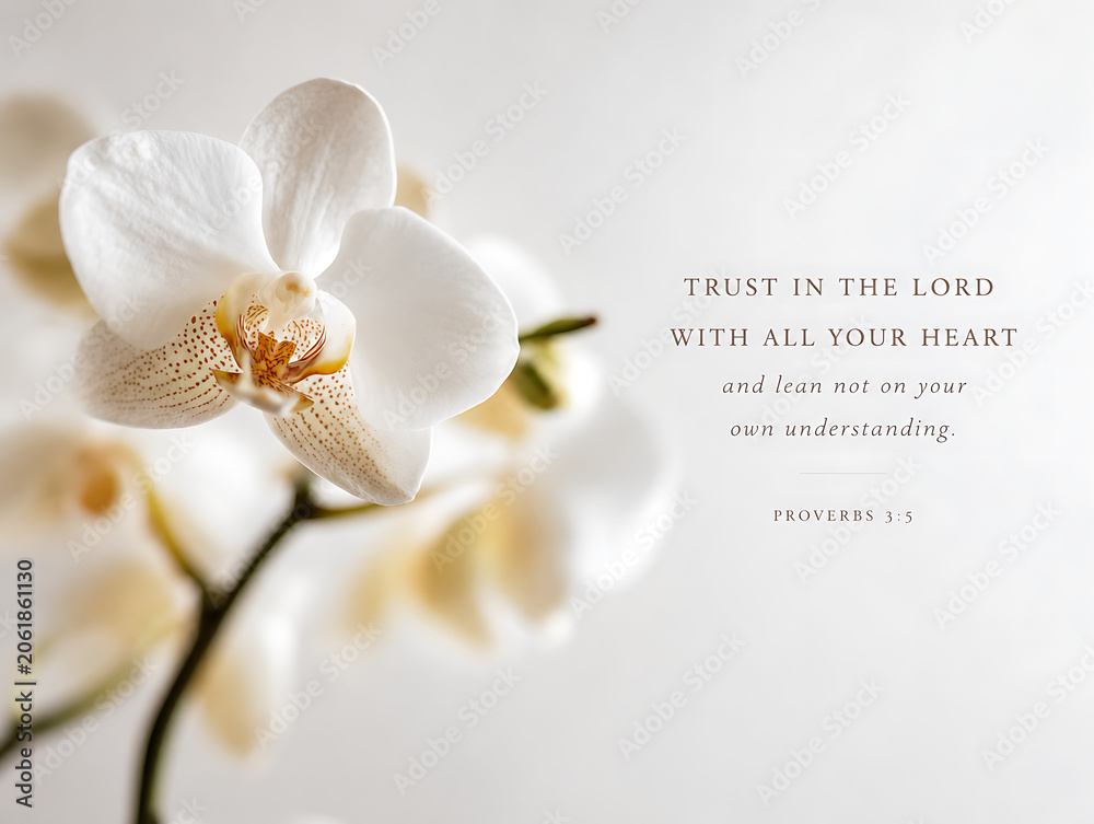 Fototapeta premium White Orchid Bloom on Soft Background. Bible. Christianity wallpaper. Jesus Christ