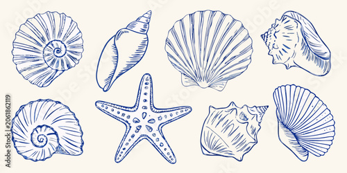 Tableau sur toile Ocean Seashell Collection Blue Line Art Illustration On White Background