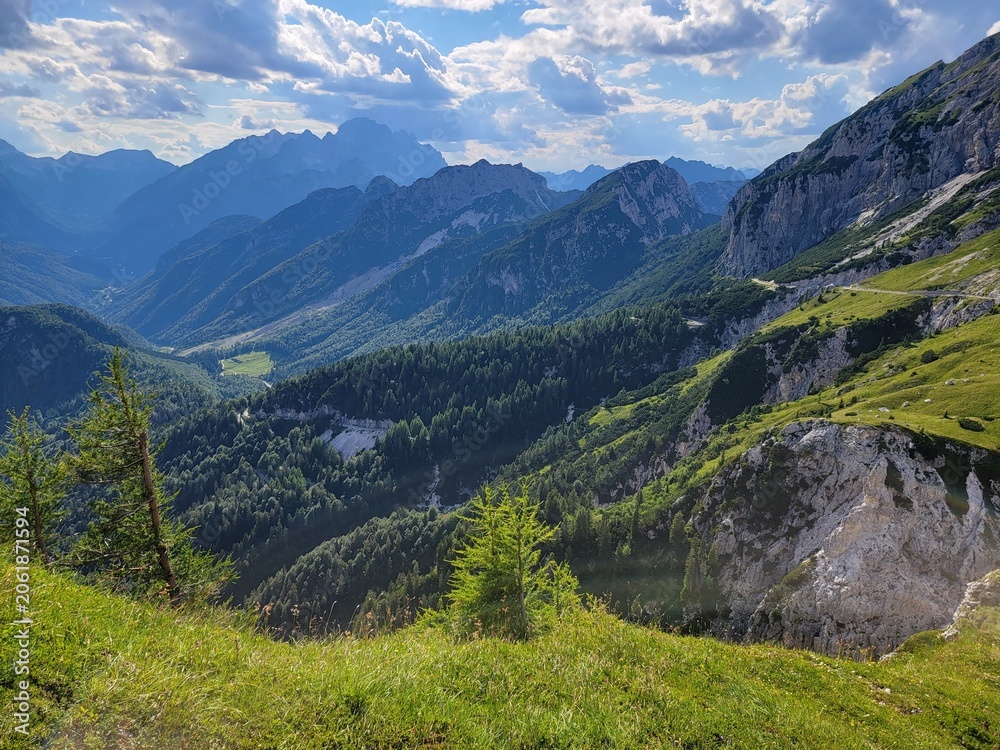 Fototapeta premium swiss alps in the alps