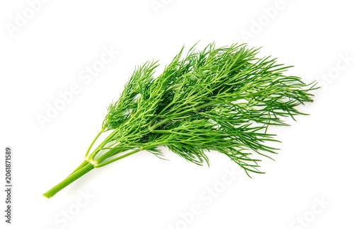 Cuadro en lienzo Fresh green dill branches isolated on white, top view.