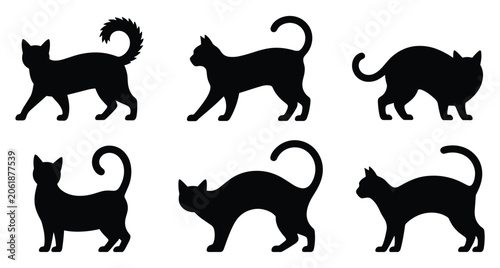 Foto Six Silhouette Cat Poses: A collection of distinct cat silhouette illustrations