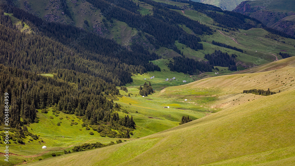 Fototapeta premium Landscape Kazachstan, ASSI, mountain, trees, green, clubs, trevel, 