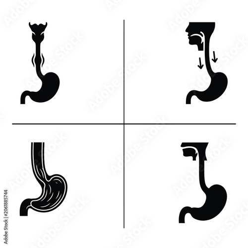 Esophagus unique designs silhouette pack vector illustration