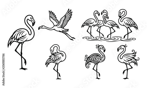 Flamingo Bird Line Art pack Vector Illustration