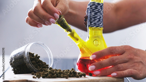 Vászonkép Girl Fills A Smoking Bong With Dry CBD Cannabis, Natural Preparations For Calmin