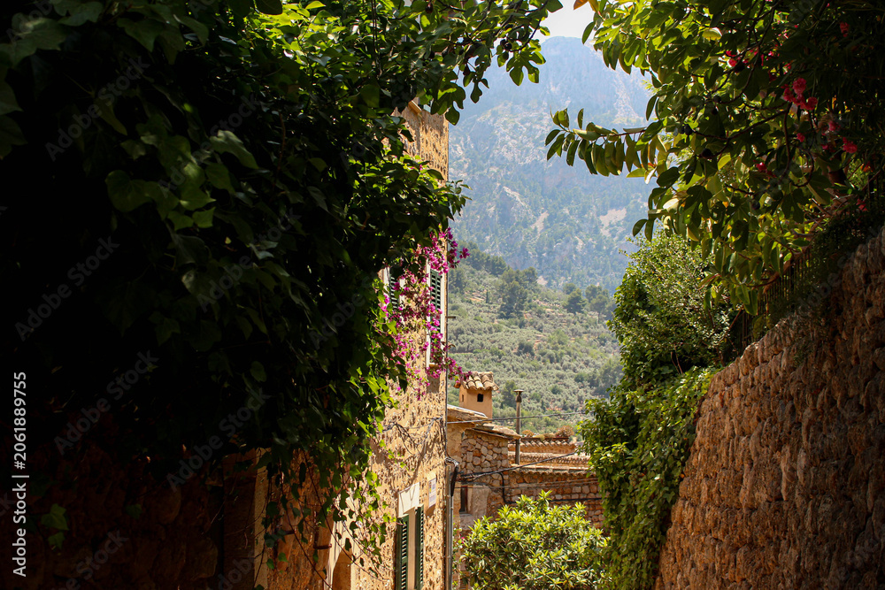 Fototapeta premium old house in the mountains with branches