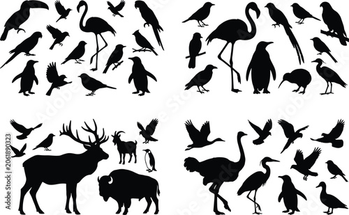 Photography Collection of Wild Animals and Birds Silhouettes Vector Elements Isolated on Whi