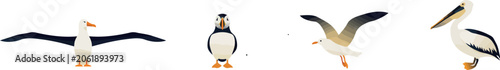 Konstfotografi Flat Seabird Icon Set with Flying Albatross Puffin Seagull and Pelican Elements