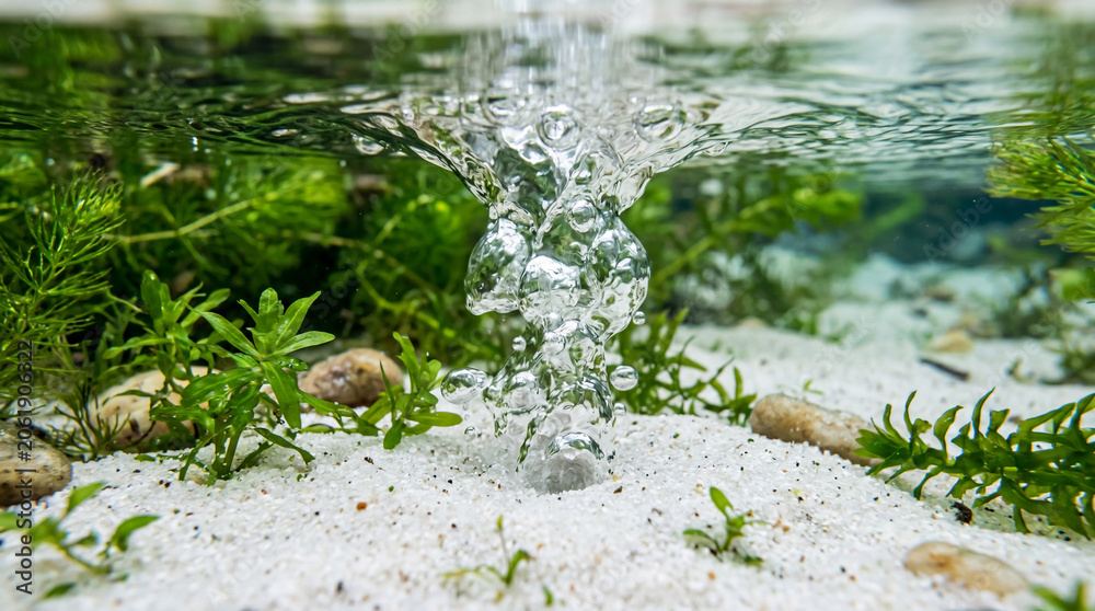 Fototapeta premium Crystal Clear Natural Spring Bubbling Up From A Bed Of Clean White Sand And Water
