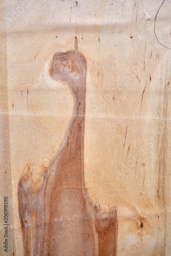 Macro view of old weathered wood surface featuring natural fiber grains, split lines, and small splinters peeling off. Grungy rustic timber board panel background 