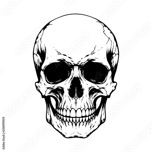 Detailed human skull black and white illustration, front view with emphasis on teeth and eye sockets.