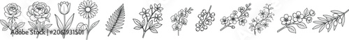 Hand drawn flower collection botanical illustration set with botanical illustration ornament decoration wildflower isolated collection