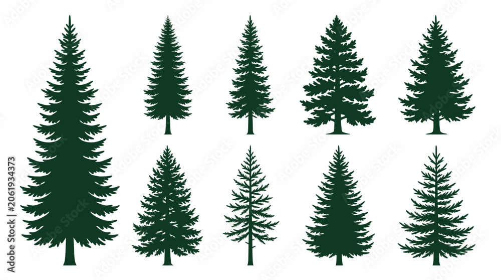Obraz premium Evergreen pine and fir tree silhouettes in various species shapes
