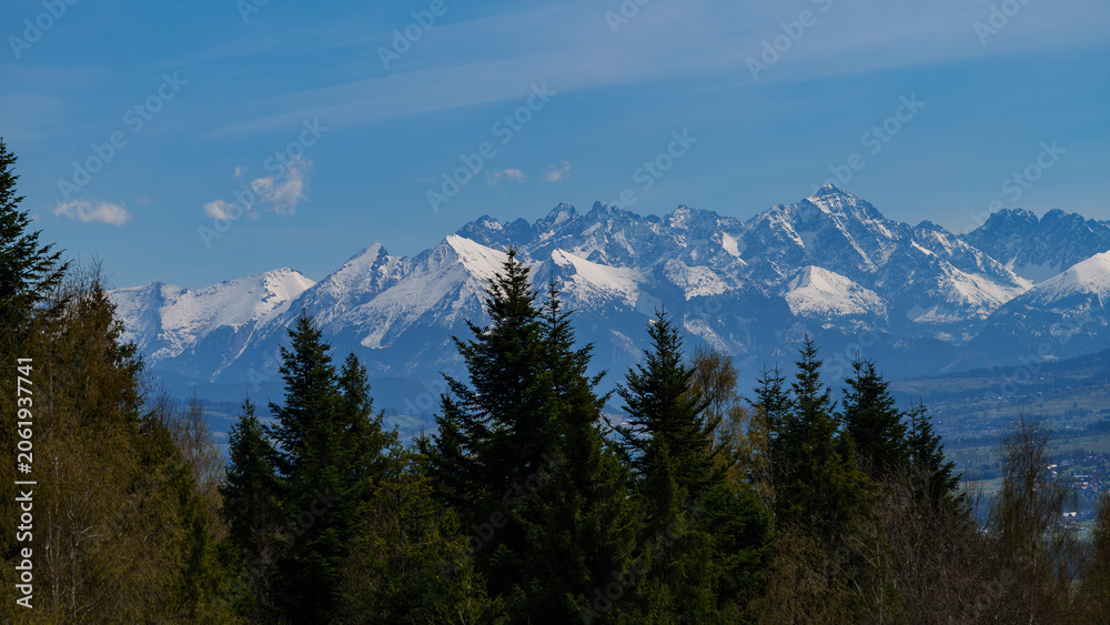 Fototapeta premium Majestic panoramic view of rocky mountain range covered with snow behind green pine forests and fields