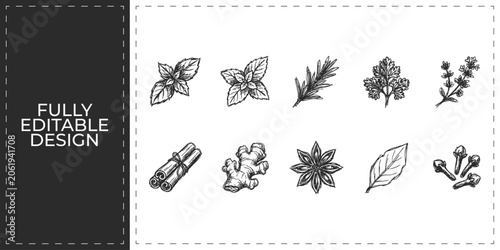 Quadro su tela Organic herbs and spices collection hand drawn doodle icons set for natural medi