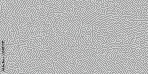 Photos Monochrome Turing reaction