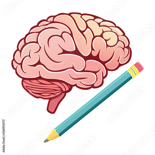 Flat vector illustration of a brain with pencil drawing