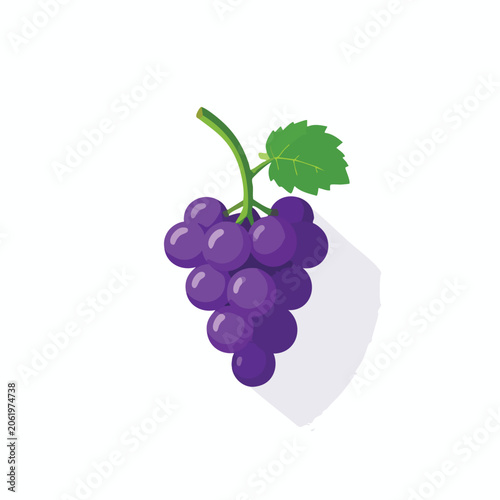 Flat vector illustration of a fresh purple grape bunch.