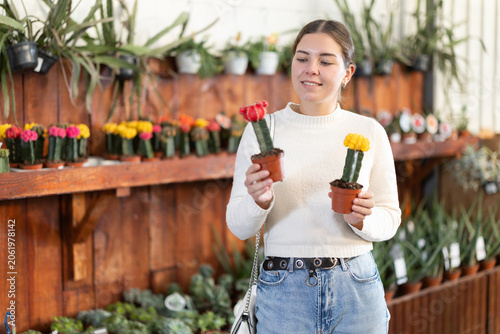 Konstfotografi Girl customer chooses young houseplant in store, examines leaves and shoots of flowering cactus, inhales fragrance of flower