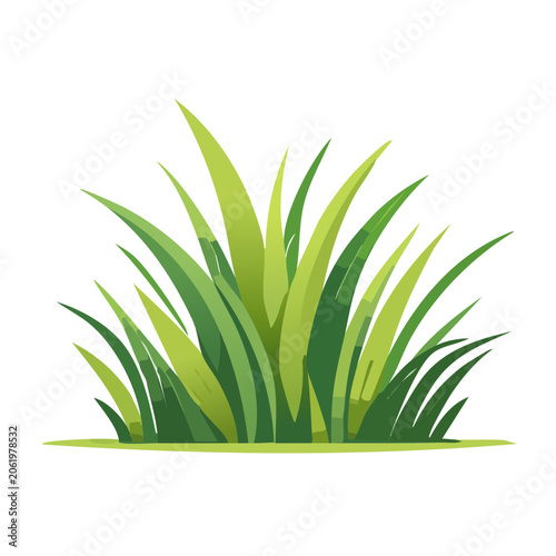 Snake plant top view isolated on transparent background