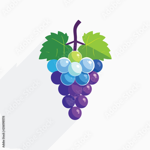 Stylized vector illustration of a bunch of purple and blue grapes with green leaves.