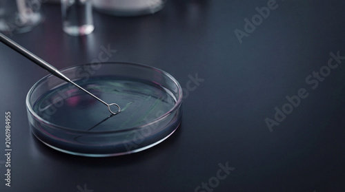 Colorful laboratory petri dish with amber highlights