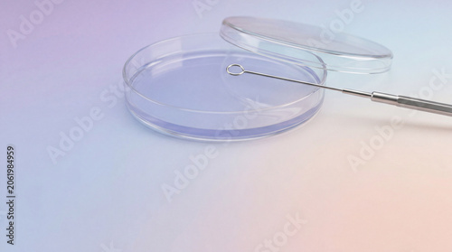 Colorful laboratory petri dish with repeated sample pattern