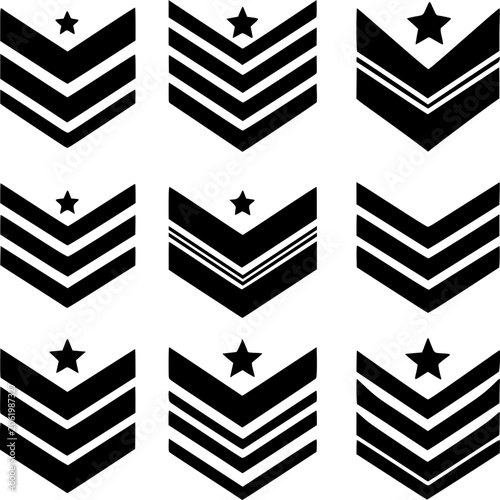 Chevron Rank Vector Icon Set