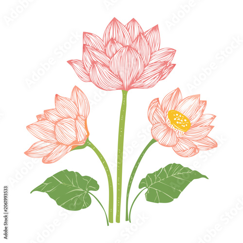 Pink red yellow tulip bouquet vector