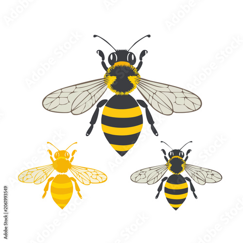 Three flat design bees on yellow flowers