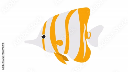 Copperband butterflyfish swims in coral reefs. Perfect for marine life educational materials, ocean conservation campaigns, or tropical fish posters.
