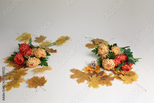 Autumn Leaves and Chrysanthemum Flowers on White Background