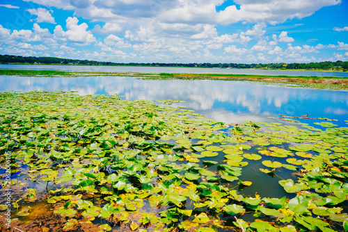 landscape of Lake Wales is a historic city in Polk County, Florida, highest point of Florida