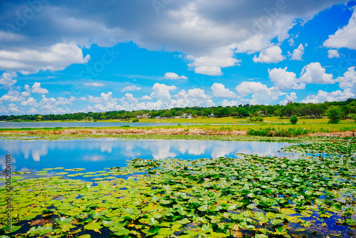 landscape of Lake Wales is a historic city in Polk County, Florida, highest point of Florida