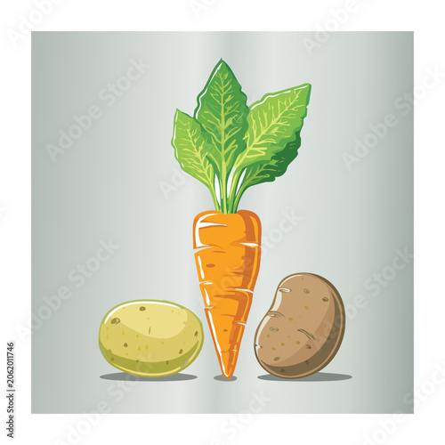 Flat Design Illustration of Carrot with Potato and Turnip