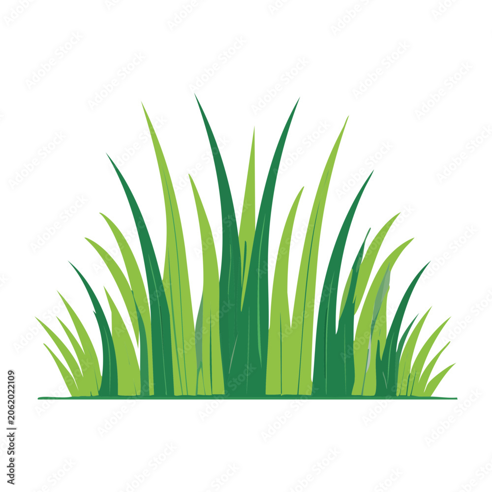 Fototapeta premium Cluster of green grass blades illustration