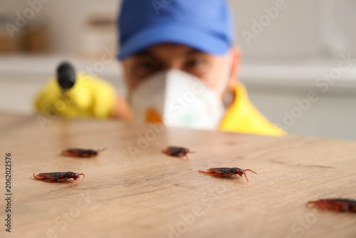 Male pest control specialist disinfecting table for cockroaches in kitchen, c...