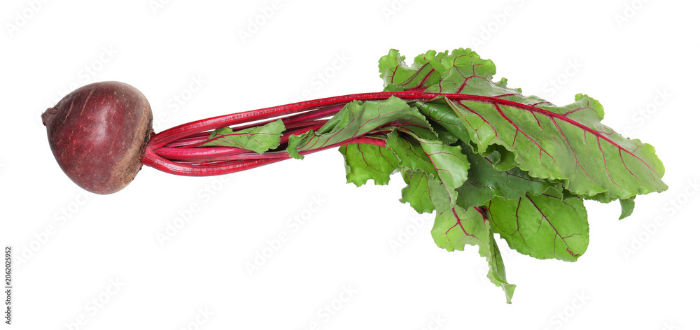 Fototapeta premium Young beet with leaves isolated on white