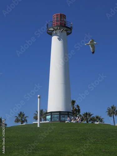 Phare blanc de Long Beach avec oiseau en vol sous un ciel bleu californien