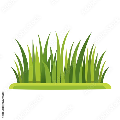 Flat design green grass illustration