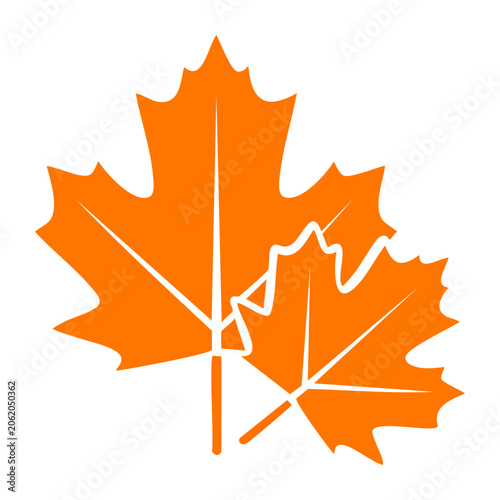 Orange maple leaf icon on transparent background