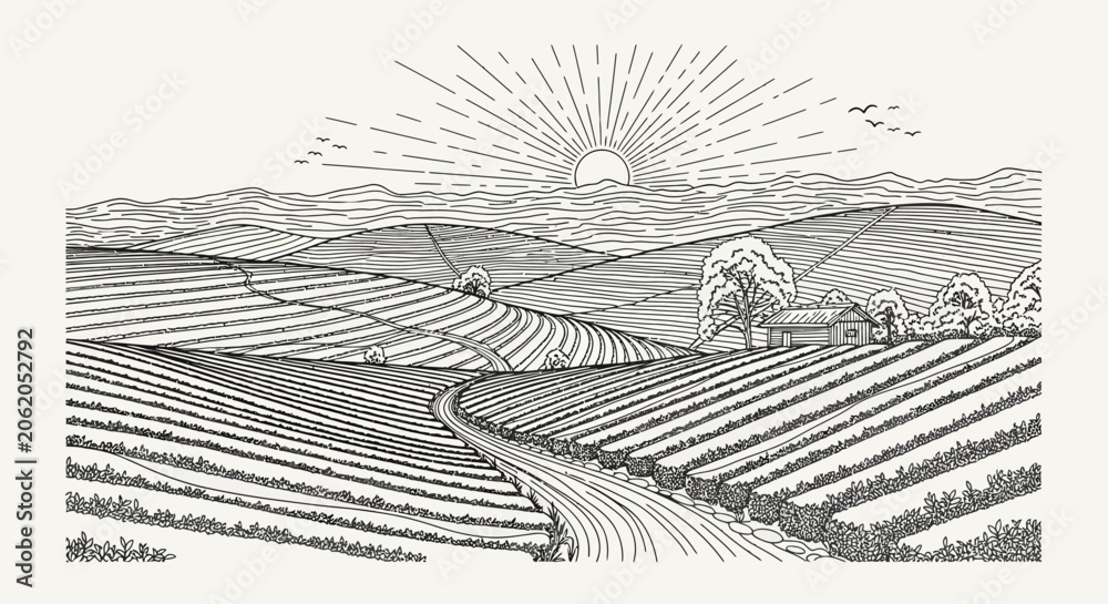 Fototapeta premium Engraved Farm Landscape with Rolling Fields and Sunrise