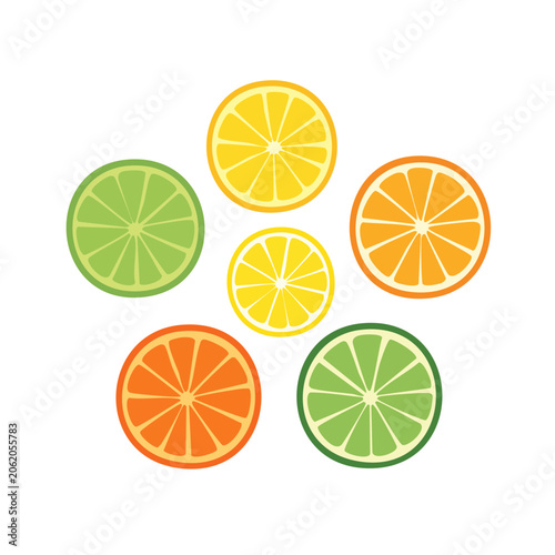 Flat design flower icons set